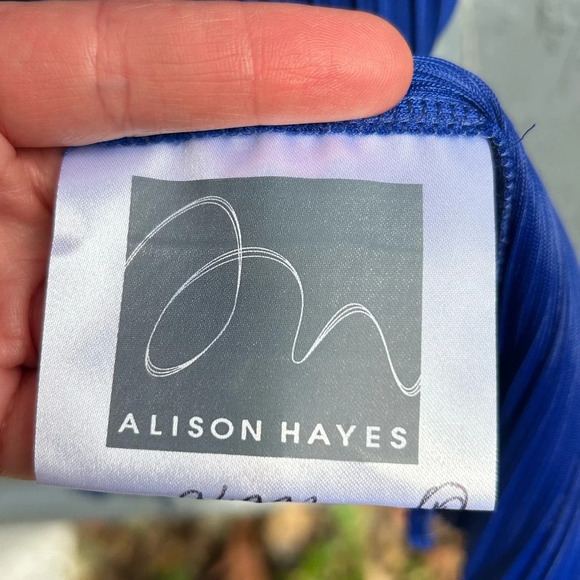 Alison Hayes Pleated Dress, size Small - Picture 8 of 9